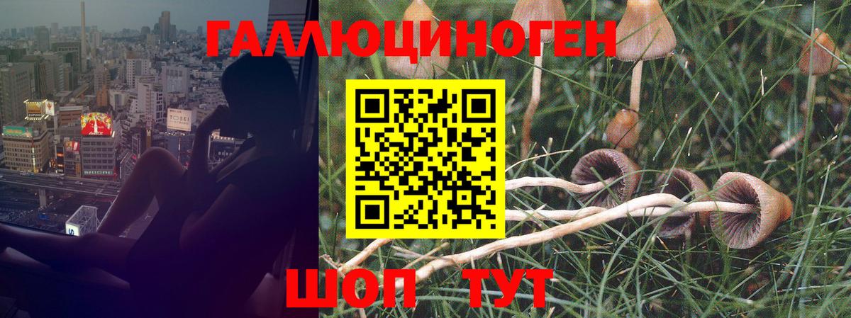 Псилоцибиновые грибы ЛСД  Вход с VPN  Воскресенск 