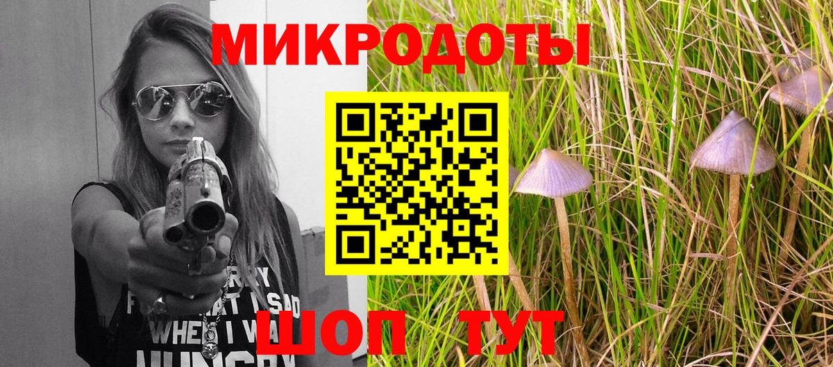 Галлюциногенные грибы Psilocybine cubensis Воскресенск